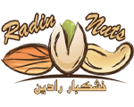 خشکبار رادین ارس